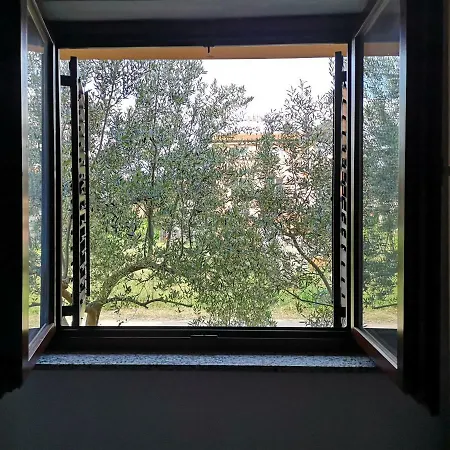 Apartman Vice *